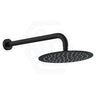 Fienza Kaya Stainless Steel Wall Mounted Shower Arm Set Variant Colour Available