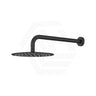 Fienza Kaya Stainless Steel Wall Mounted Shower Arm Set Variant Colour Available