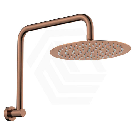 Fienza Kaya Ultra Thin Gooseneck Stainless Steel Shower Arm Set Variant Colour Available