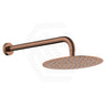 Fienza Kaya Stainless Steel Wall Mounted Shower Arm Set Variant Colour Available