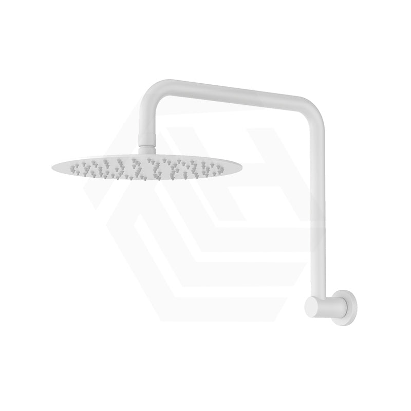 Fienza Kaya Ultra Thin Gooseneck Stainless Steel Shower Arm Set Variant Colour Available
