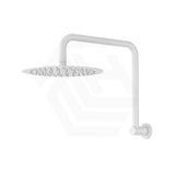 Fienza Kaya Ultra Thin Gooseneck Stainless Steel Shower Arm Set Variant Colour Available