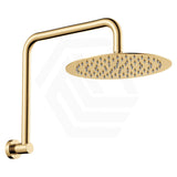 Fienza Kaya Ultra Thin Gooseneck Stainless Steel Shower Arm Set Variant Colour Available