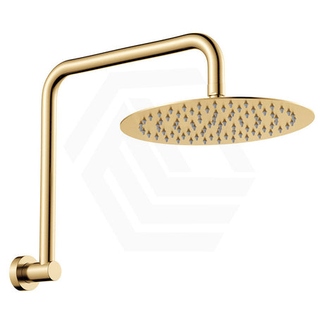 Fienza Kaya Ultra Thin Gooseneck Stainless Steel Shower Arm Set Variant Colour Available