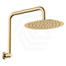 Fienza Kaya Ultra Thin Gooseneck Stainless Steel Shower Arm Set Variant Colour Available