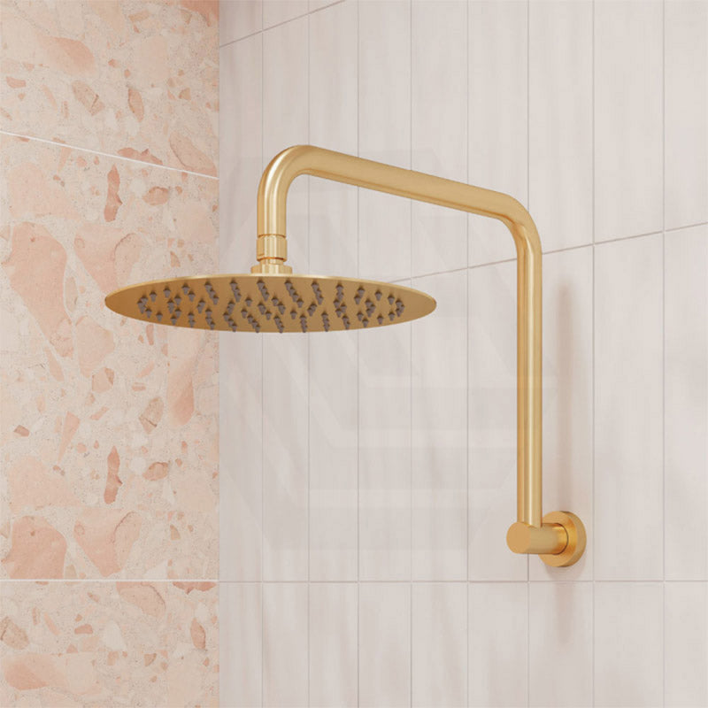Fienza Kaya Ultra Thin Gooseneck Stainless Steel Shower Arm Set Variant Colour Available