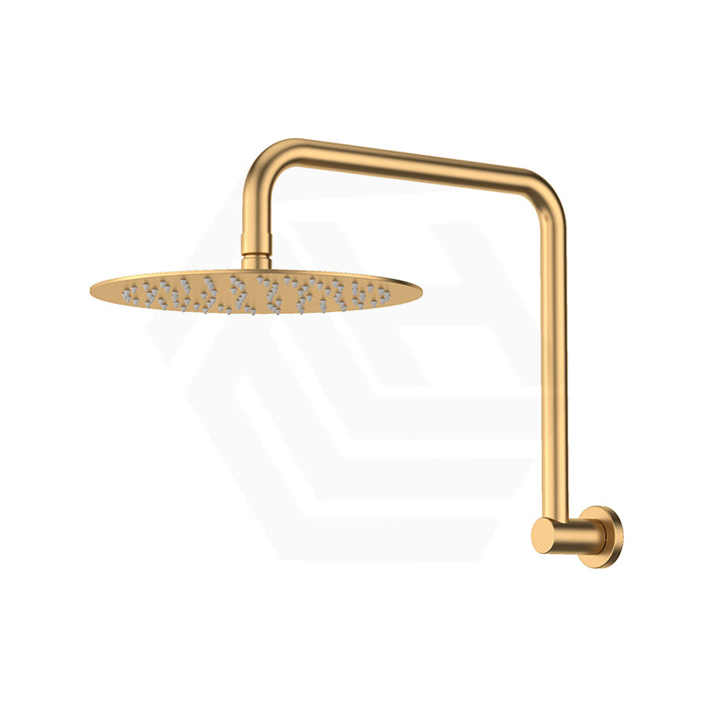Fienza Kaya Ultra Thin Gooseneck Stainless Steel Shower Arm Set Variant Colour Available