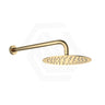 Fienza Kaya Stainless Steel Wall Mounted Shower Arm Set Variant Colour Available