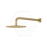 Fienza Kaya Stainless Steel Wall Mounted Shower Arm Set Variant Colour Available