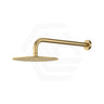 Fienza Kaya Stainless Steel Wall Mounted Shower Arm Set Variant Colour Available