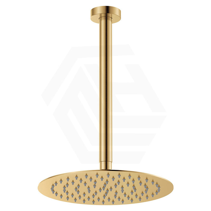 Fienza Kaya Super Slim Ceiling Shower Head and Shower Arm Set Variant Colour Available