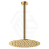 Fienza Kaya Super Slim Ceiling Shower Head and Shower Arm Set Variant Colour Available