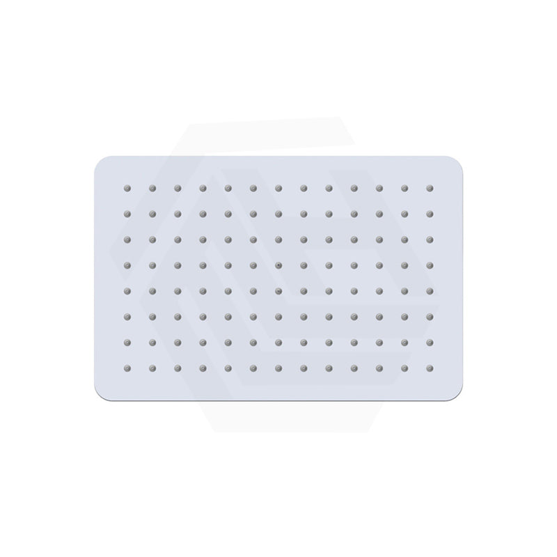 Fienza Koko Stainless Steel Rectangular Shower Head Variant Colour Available