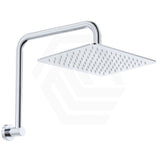 Fienza Tono Gooseneck Stainless Steel Shower Arm Set Variant Colour Available