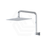 Fienza Tono Gooseneck Stainless Steel Shower Arm Set Variant Colour Available