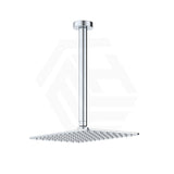Fienza Tono Stainless Steel Ceiling Shower Arm Set Variant Colour Available
