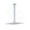Fienza Tono Stainless Steel Ceiling Shower Arm Set Variant Colour Available