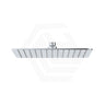 Fienza Koko Stainless Steel Rectangular Shower Head Variant Colour Available