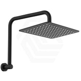 Fienza Tono Gooseneck Stainless Steel Shower Arm Set Variant Colour Available
