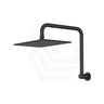Fienza Tono Gooseneck Stainless Steel Shower Arm Set Variant Colour Available