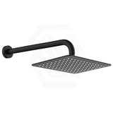 Fienza Tono Stainless Steel Wall Mounted Shower Arm Set Variant Colour Available