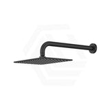 Fienza Tono Stainless Steel Wall Mounted Shower Arm Set Variant Colour Available