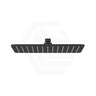 Fienza Koko Stainless Steel Rectangular Shower Head Variant Colour Available