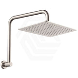 Fienza Tono Gooseneck Stainless Steel Shower Arm Set Variant Colour Available
