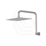 Fienza Tono Gooseneck Stainless Steel Shower Arm Set Variant Colour Available