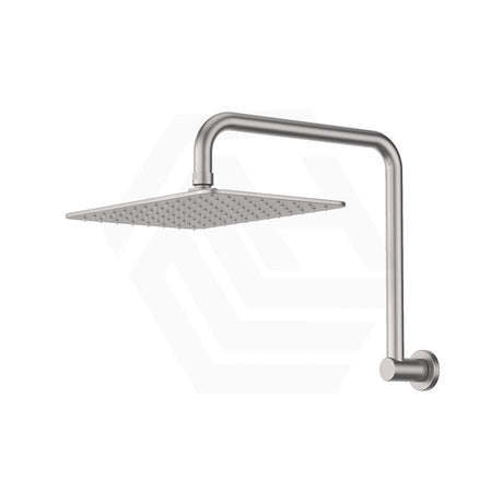 Fienza Tono Gooseneck Stainless Steel Shower Arm Set Variant Colour Available