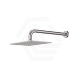 Fienza Tono Stainless Steel Wall Mounted Shower Arm Set Variant Colour Available