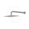 Fienza Tono Stainless Steel Wall Mounted Shower Arm Set Variant Colour Available