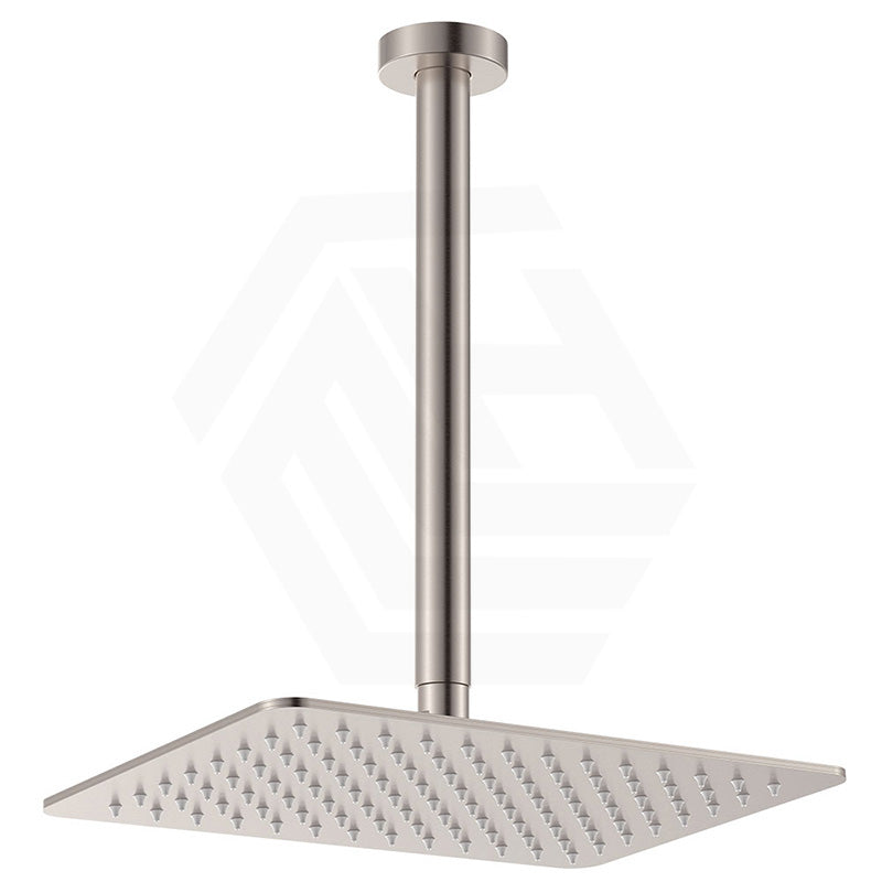 Fienza Tono Stainless Steel Ceiling Shower Arm Set Variant Colour Available