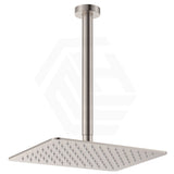 Fienza Tono Stainless Steel Ceiling Shower Arm Set Variant Colour Available