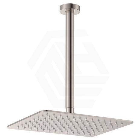 Fienza Tono Stainless Steel Ceiling Shower Arm Set Variant Colour Available