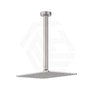 Fienza Tono Stainless Steel Ceiling Shower Arm Set Variant Colour Available