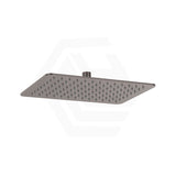 Fienza Koko Stainless Steel Rectangular Shower Head Variant Colour Available