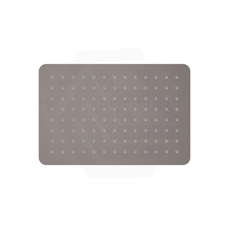 Fienza Koko Stainless Steel Rectangular Shower Head Variant Colour Available