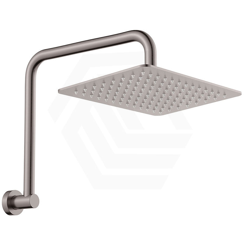 Fienza Tono Gooseneck Stainless Steel Shower Arm Set Variant Colour Available