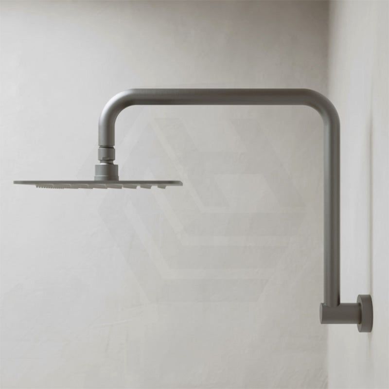 Fienza Tono Gooseneck Stainless Steel Shower Arm Set Variant Colour Available