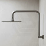 Fienza Tono Gooseneck Stainless Steel Shower Arm Set Variant Colour Available
