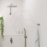 Fienza Tono Gooseneck Stainless Steel Shower Arm Set Variant Colour Available