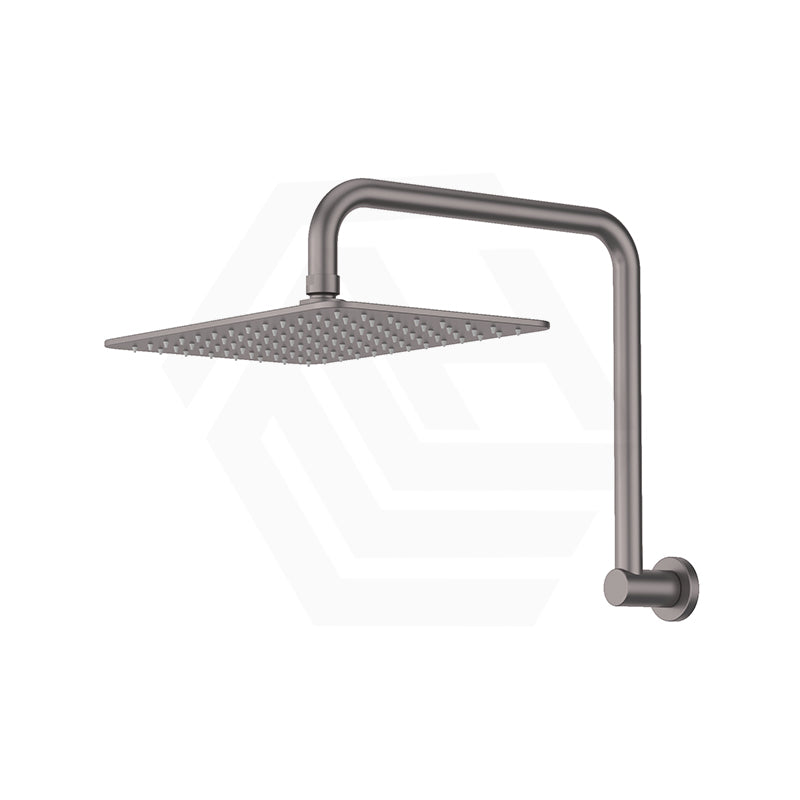 Fienza Tono Gooseneck Stainless Steel Shower Arm Set Variant Colour Available