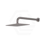 Fienza Tono Stainless Steel Wall Mounted Shower Arm Set Variant Colour Available