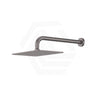 Fienza Tono Stainless Steel Wall Mounted Shower Arm Set Variant Colour Available