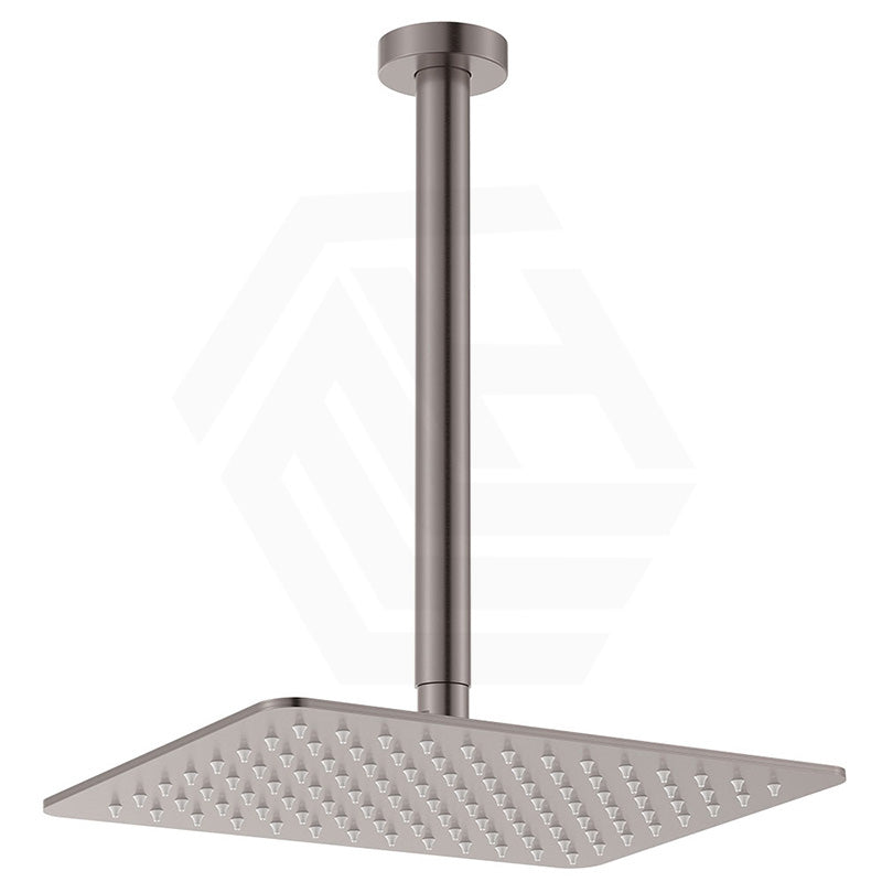 Fienza Tono Stainless Steel Ceiling Shower Arm Set Variant Colour Available