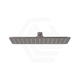 Fienza Koko Stainless Steel Rectangular Shower Head Variant Colour Available