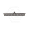 Fienza Koko Stainless Steel Rectangular Shower Head Variant Colour Available