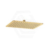 Fienza Koko Stainless Steel Rectangular Shower Head Variant Colour Available