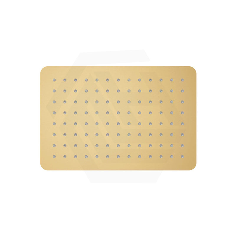 Fienza Koko Stainless Steel Rectangular Shower Head Variant Colour Available